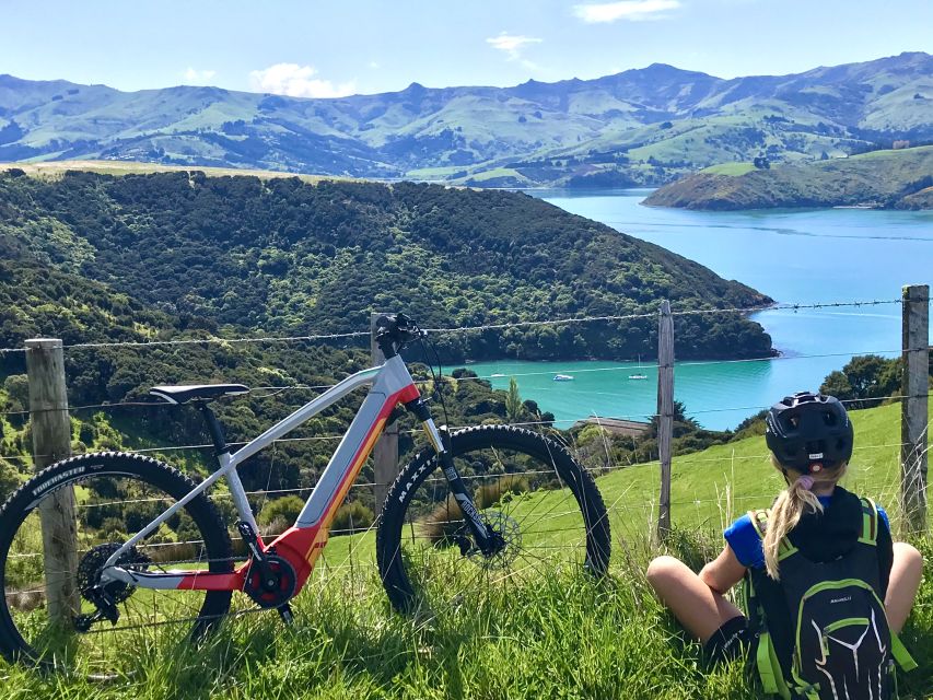 Akaroa: Guided Electric Mountain Bike Tour-Lava Loop - The downhill return to sea level