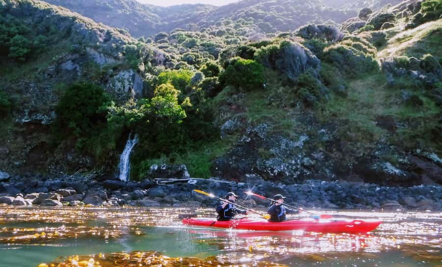 Akaroa: Guided Sunrise Sea Kayaking Tour - Key points to know before booking