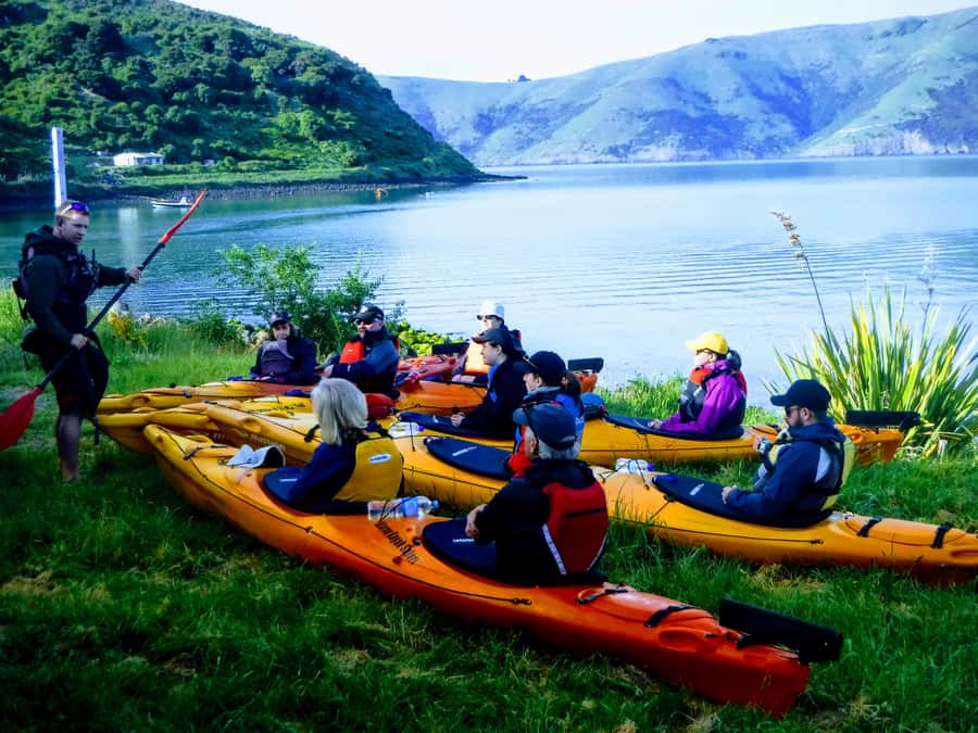 Akaroa: Guided Sunrise Sea Kayaking Tour - Guides who shape the experience