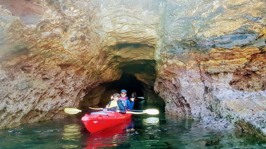 Akaroa: Guided Sunrise Sea Kayaking Tour - What the $92 price really buys you