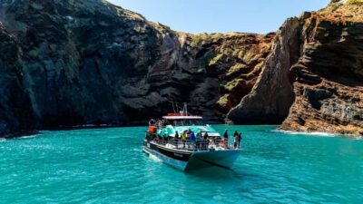 Akaroa Harbour 2-Hour Dolphin Nature Cruise