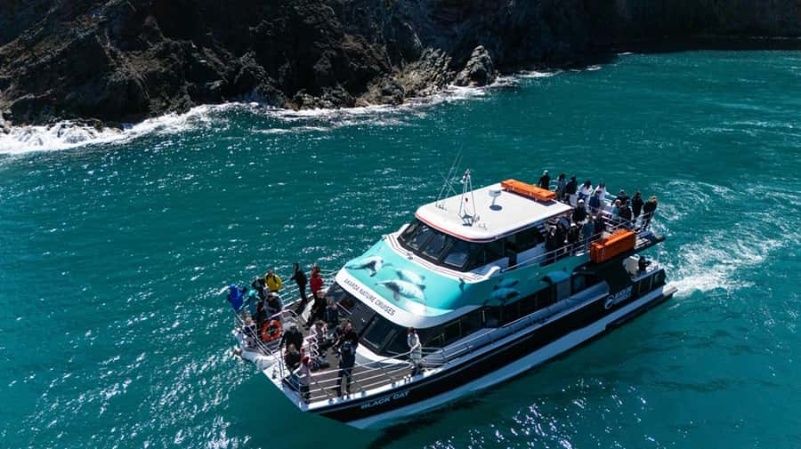 Akaroa Harbour 2-Hour Dolphin Nature Cruise - Commentary that turns scenery into a story