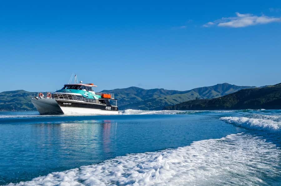 Akaroa Harbour 2-Hour Dolphin Nature Cruise - Life aboard the catamaran