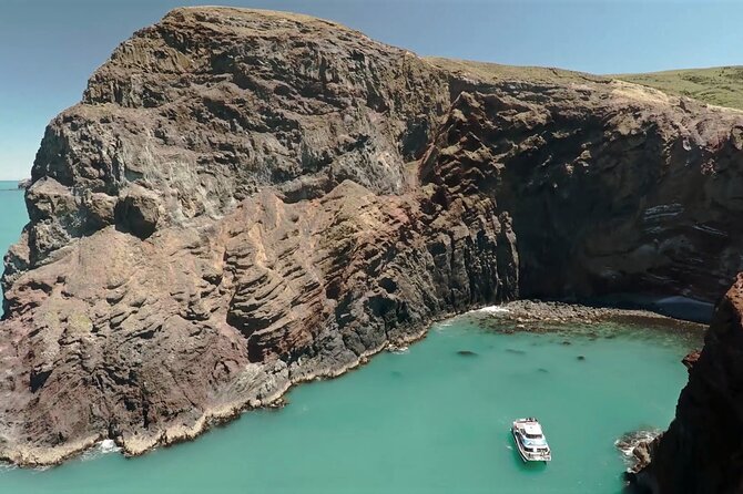 Akaroa Harbour Nature Cruise - Key things to know before sailing