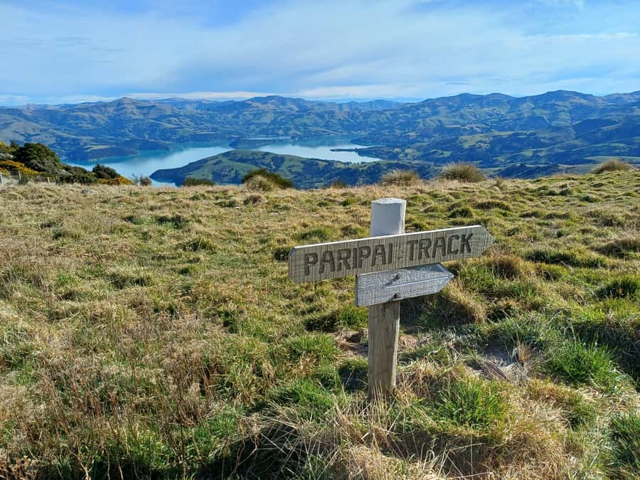 Akaroa: Lonely Beach Trail by E-Scooter. selfguided day out - Takamatua Valley Wines is an optional late-day reward
