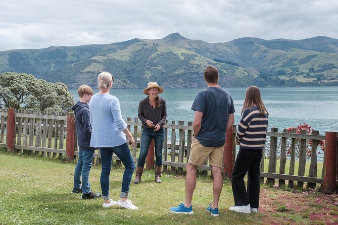 Akaroa Nature and History Private Tour - The 7th Generation - The drive toward Hinewai Reserve and the end of the road