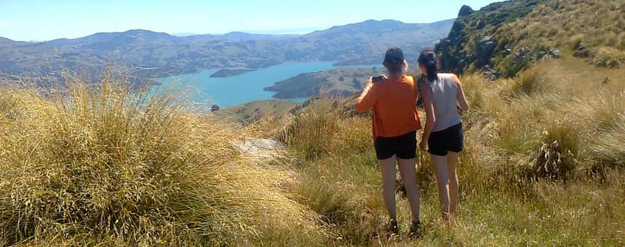 Akaroa: Pohatu Penguins Scenic Nature 2-Hour or 4-Hour Tour - Leaving Akaroa for the Volcano Rim