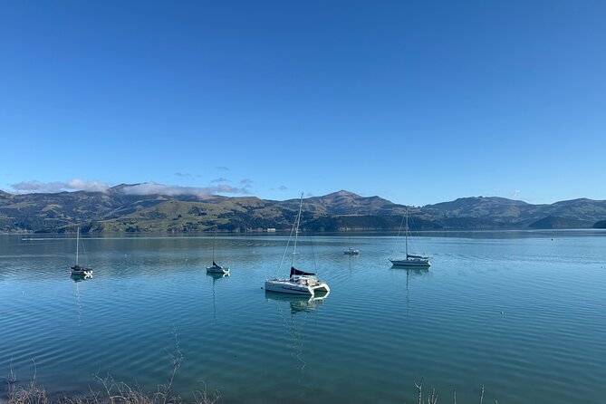 Akaroa Private Day Tour from Christchurch - Is $154.52 Good Value?