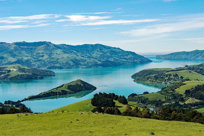 Akaroa Private Day Tour From Christchurch (Carbon Neutral) - Key points to know before booking