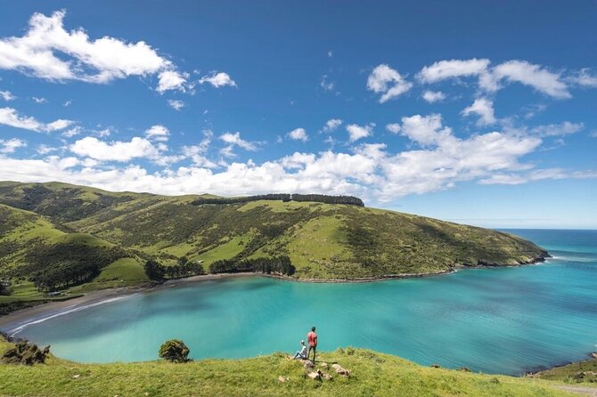 Akaroa Private Day Tour from Christchurch - Three Hours Inside Akaroa’s Volcanic Crater
