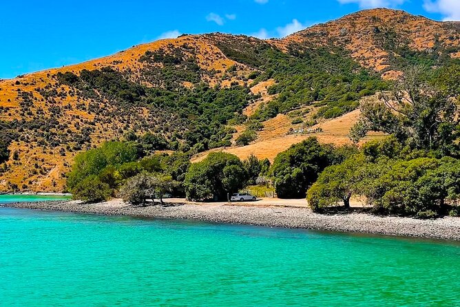 Akaroa Private Day Trip From Christchurch - Little River, a brief stop on the peninsula