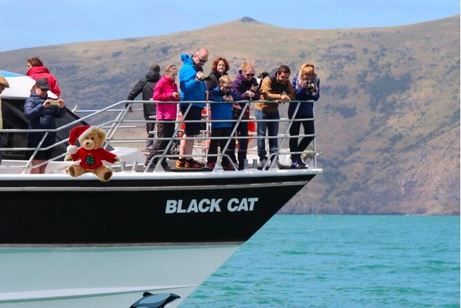 Akaroa Private Day Trip From Christchurch - Arriving in Akaroa’s volcanic setting