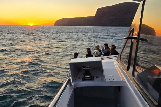 Akaroa Private Day Trip From Christchurch - Cheese tasting and the optional dolphin cruise