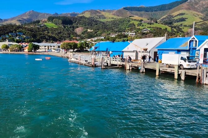 Akaroa Private Day Trip From Christchurch - Timing, weather, and practical limits