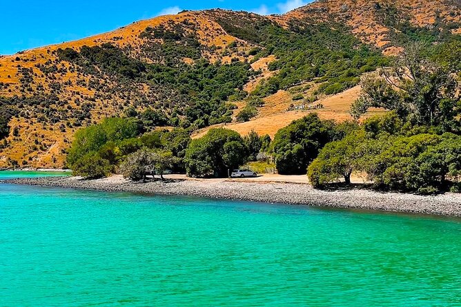 Akaroa Private Group Day Trip from Christchurch - Key points to know before booking