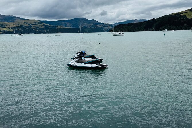 Akaroa Private Group Day Trip from Christchurch - Should you add the dolphin cruise?