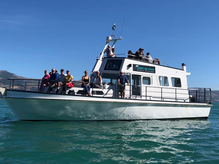 Akaroa: Scenic Coastline Wildlife Cruise - Stories From Tony and the Local Crew