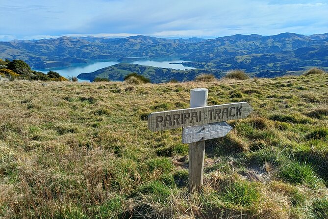 Akaroa Self Guided Electric Scooter Tour - Takamatua Valley Vineyard With Alan