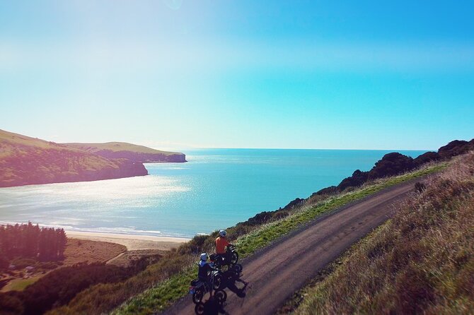 Akaroa Self Guided Electric Scooter Tour - The Picnic Set Makes the Day More Comfortable