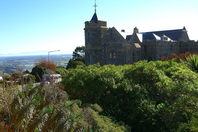 Akaroa Shore Excursion: Banks Peninsula and Christchurch City Sights Tour - Lunch and free time in the city