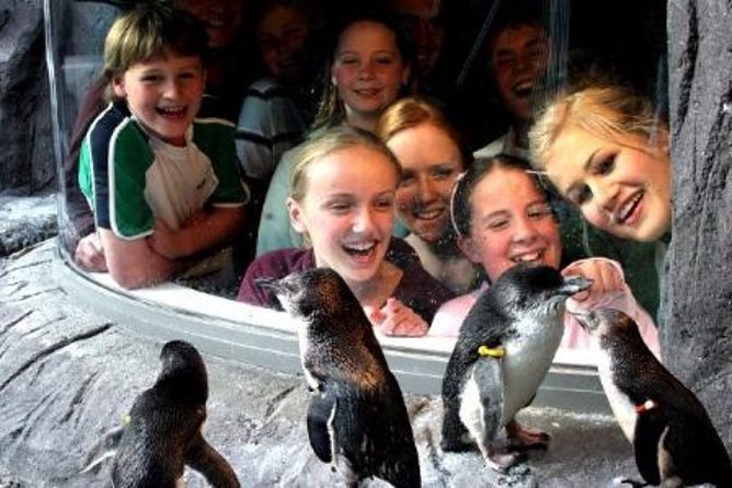 Akaroa Shore Excursion: Banks Peninsula, Christchurch City Tour and the International Antarctic Centre - Food, timing, and the risk of a rushed visit