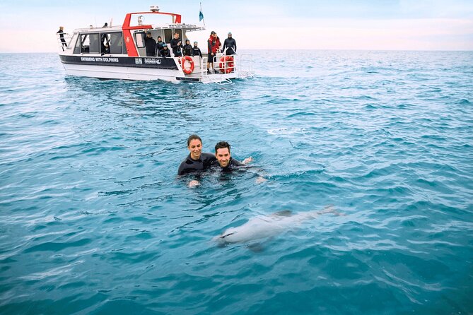 Akaroa Swim with Dolphins Tour from Christchurch - What it is really like to swim with Hector’s dolphins