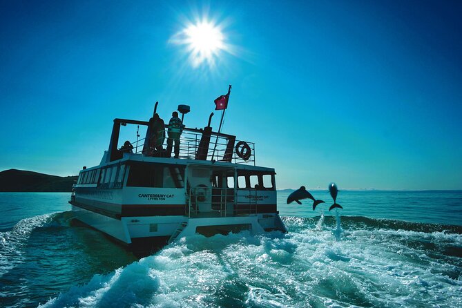 Akaroa Swim with Dolphins Tour from Christchurch - Free time in Akaroa after the cruise