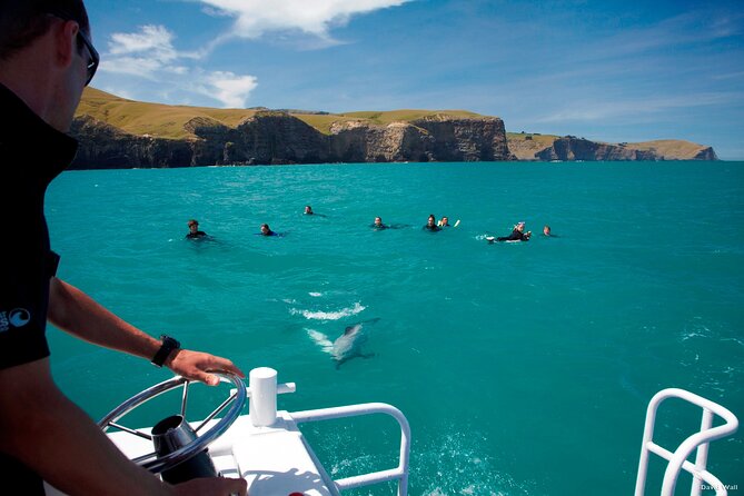 Akaroa Swim with Dolphins Tour from Christchurch - Barry’s Bay cheese tasting
