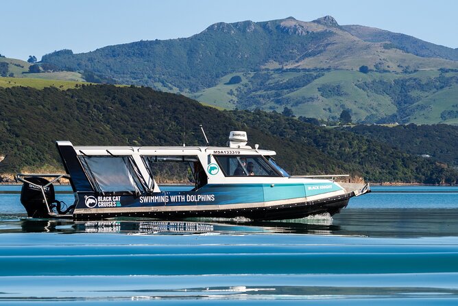 Akaroa Swim with Dolphins Tour from Christchurch - The morning drive from Christchurch to Akaroa