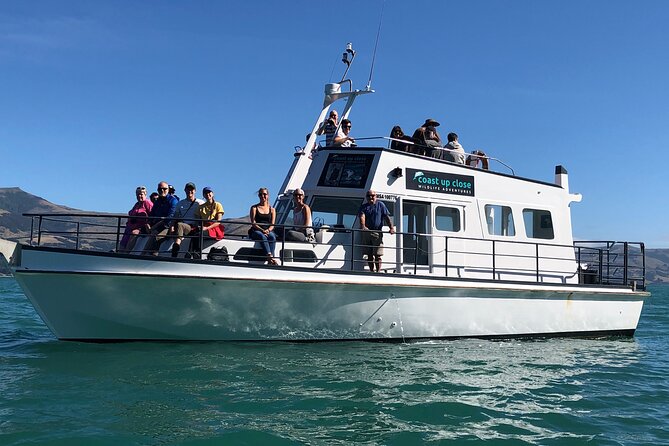 Akaroa Wildlife Cruise - Key points to know before booking
