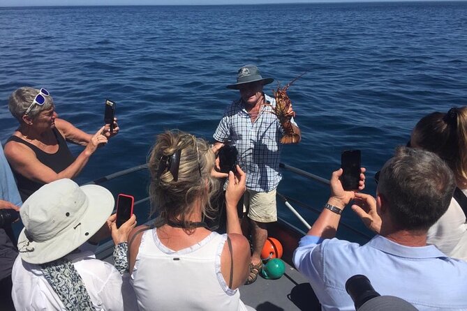 Akaroa Wildlife Cruise - Searching for Hector’s dolphins
