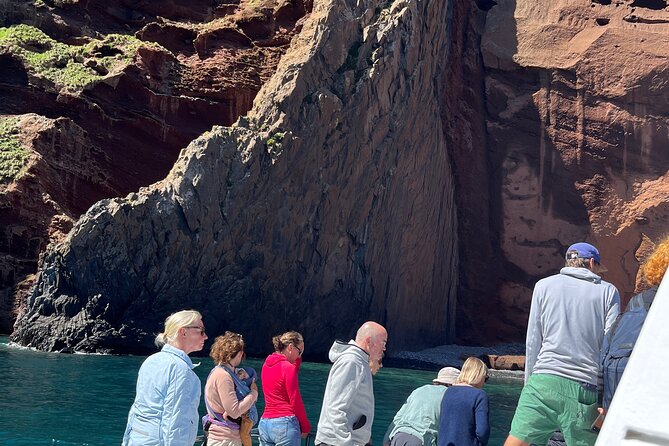Akaroa Wildlife Cruise - The small-boat advantage