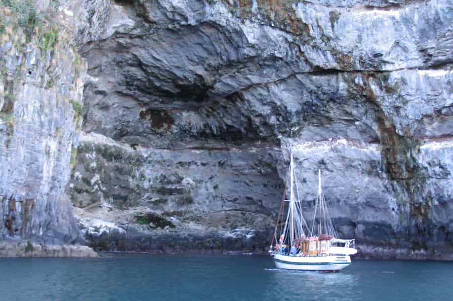 Akaroa: Wildlife Cruise with Dolphins and Penguins - Cliffs, caves, and waterfalls along the coast