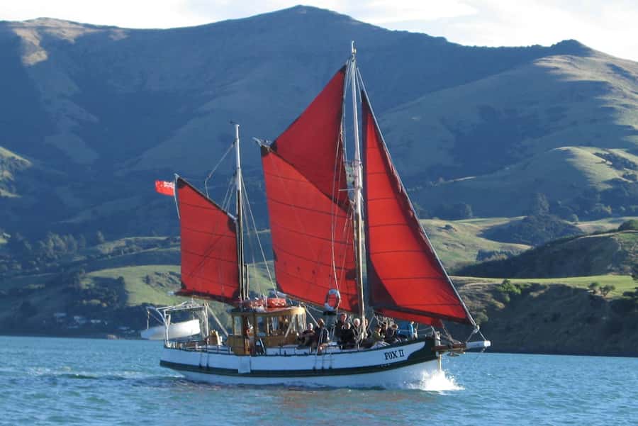 Akaroa: Wildlife Cruise with Dolphins and Penguins - Akaroa Harbour and the old volcano crater