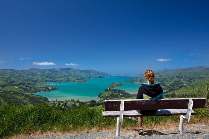 Akaroa with optional dolphin cruise (Small Group Tour) - Food and the value of the included meals