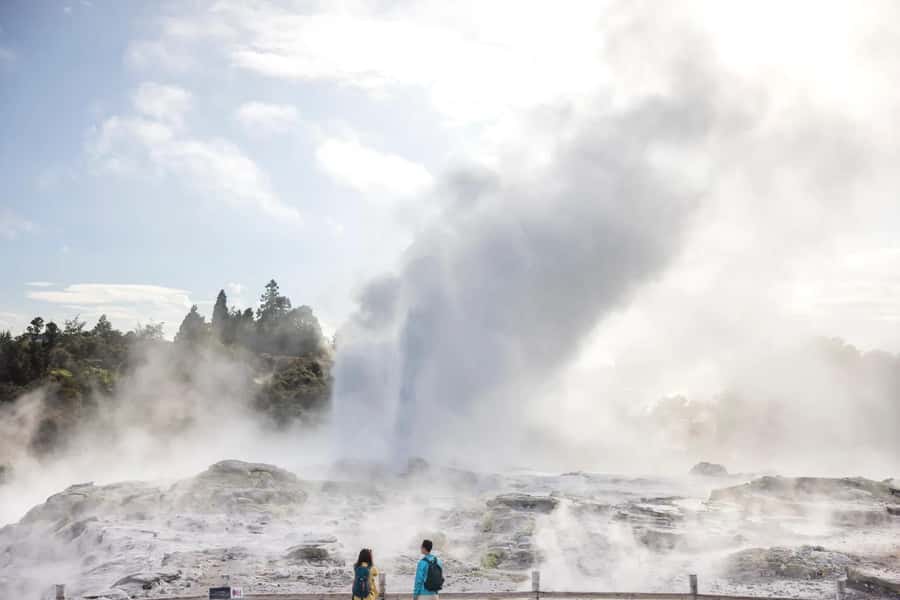 AKL: Te Puia Maori Haka, Kiwi Birds, Redwood & Blue Springs - Te Puia: geysers, mud pools, and Māori arts