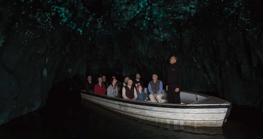 AKL: WAITOMO Glowworm, KIWI Bird, LUNCH & Hamilton Gardens - Inside Waitomo’s Glowworm Caves