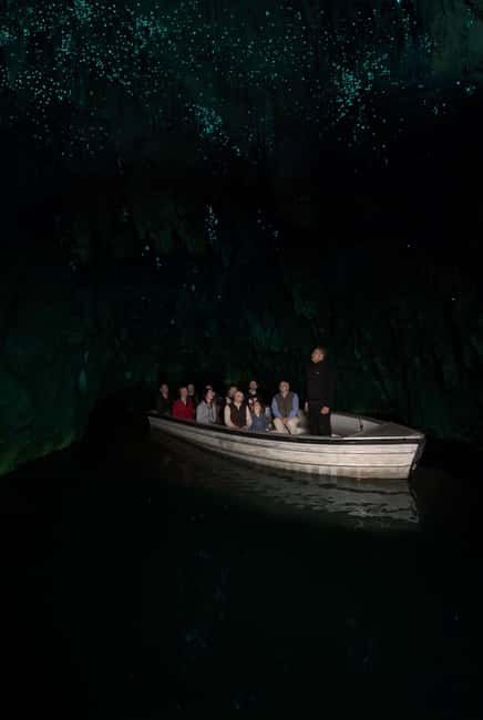 AKL: WAITOMO Glowworm, KIWI Bird, LUNCH & Hamilton Gardens - Meeting kiwi at Otorohanga
