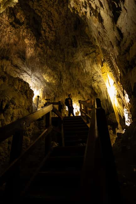 AKL: WAITOMO Glowworm, KIWI Bird, LUNCH & Hamilton Gardens - Two hours at Hamilton Gardens