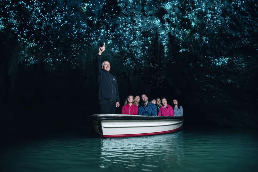 AKL: WAITOMO Glowworm, KIWI Bird, LUNCH & Hamilton Gardens - The 6:00 AM start from Auckland