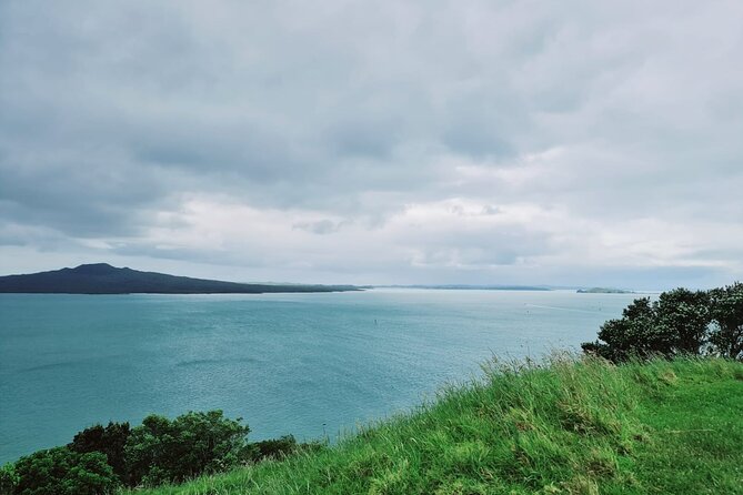 Amazing Auckland City Half Day Guided Tour - Why this Auckland tour works well for a first look