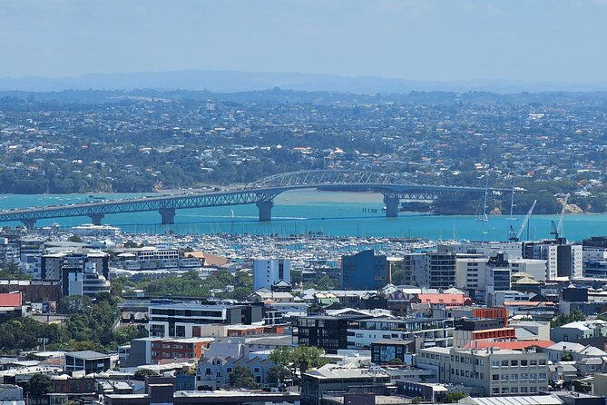 Amazing Auckland City Half Day Guided Tour - Auckland Domain Wintergardens: a compact stop with historic purpose