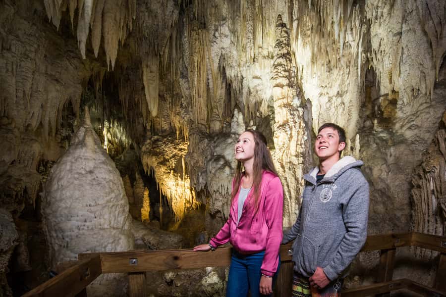 Aranui Cave 1-Hour Guided Tour - Key points to know before you book