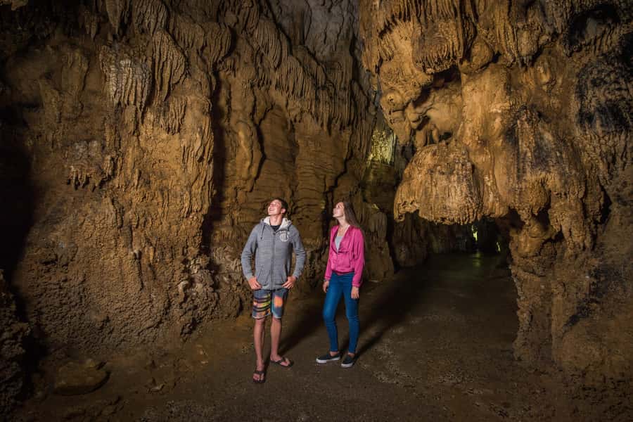 Aranui Cave 1-Hour Guided Tour - Why Aranui Cave feels different from Waitomo’s famous glowworms