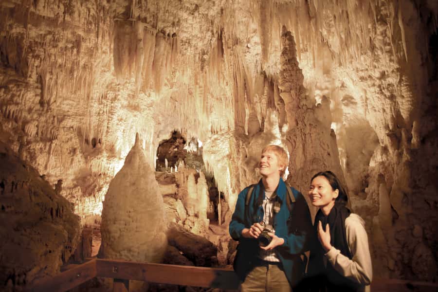 Aranui Cave 1-Hour Guided Tour - The 15-minute bush walk before the cave