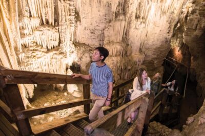 Aranui Cave 1-Hour Guided Tour