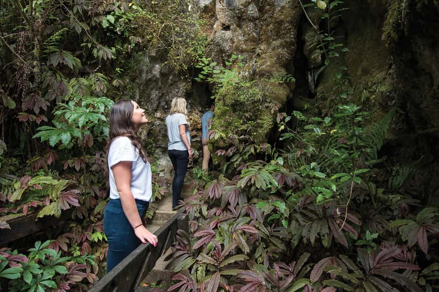 Aranui Cave 1-Hour Guided Tour - Inside Aranui Cave, where the tour earns its price