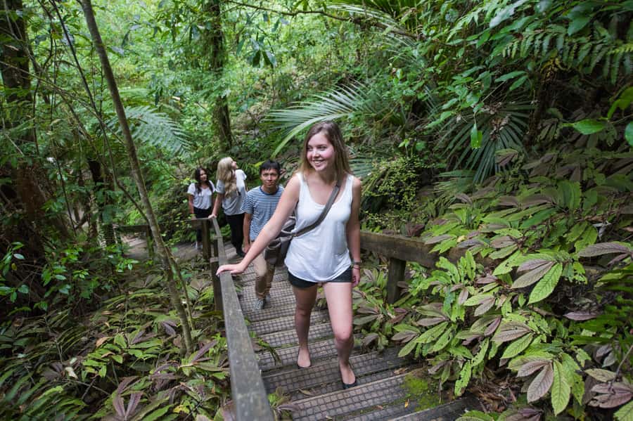 Aranui Cave 1-Hour Guided Tour - The entrance and New Zealand cave wetas