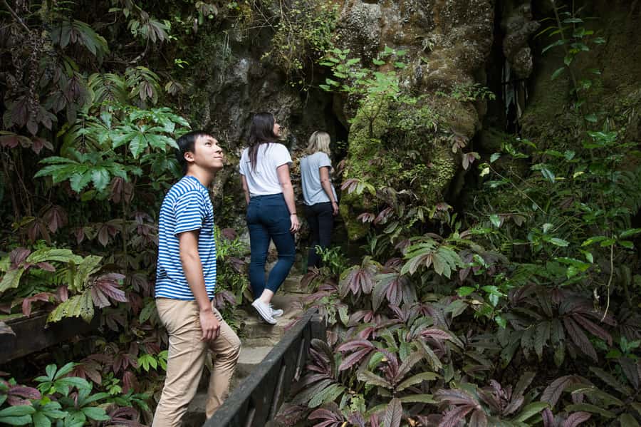 Aranui Cave 1-Hour Guided Tour - Boardwalks, narrow chambers, and tall limestone formations