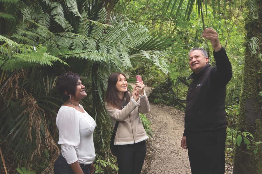 Aranui Cave 1-Hour Guided Tour - How Aranui compares with a larger cave attraction